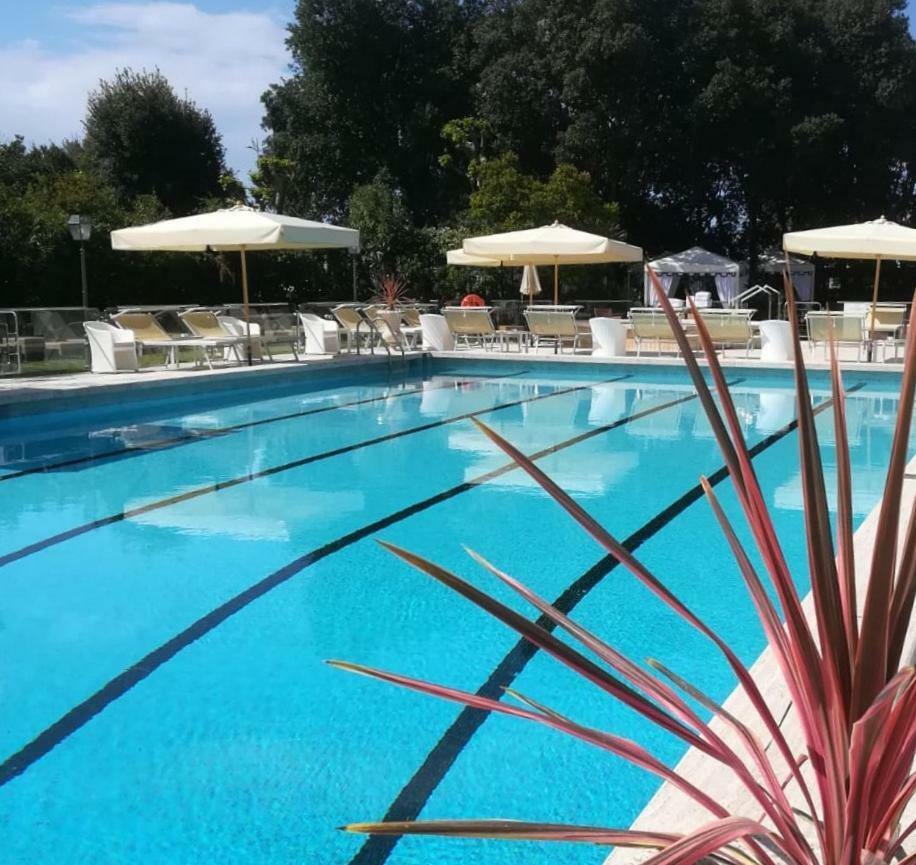 Park Hotel Villa Ariston Lido di Camaiore Esterno foto